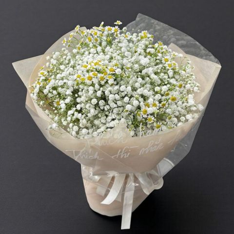  Vu Lan báo hiếu - Ngây Thơ - 11587 