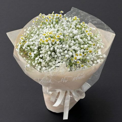  Vu Lan báo hiếu - Ngây Thơ - 11587 