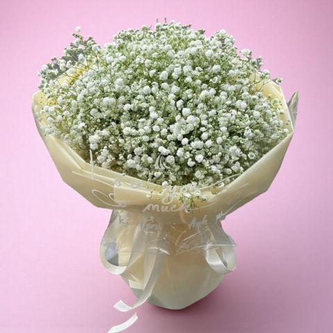  Vu Lan báo hiếu - Baby - 11641 