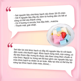  Set nguyên liệu Chè khúc bạch 20-25 chén 