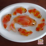  Gói Rau cau con cá 25gr 