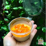  Sinh tố đào Berrino chai 1000ml 