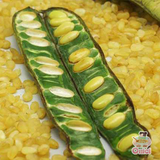  Bồ mễ loại 1 (100g-500g) 