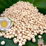  Hạt Sen loại 1 (100G - 500G - 1000G) 