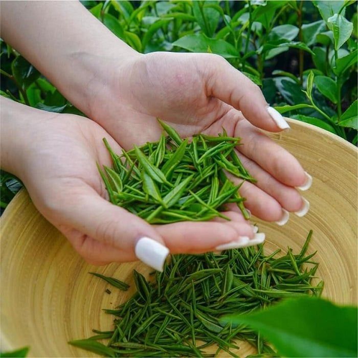 Trà Nhất Đinh Đế Vương | Hộp Mỹ Thuật Cao Cấp
