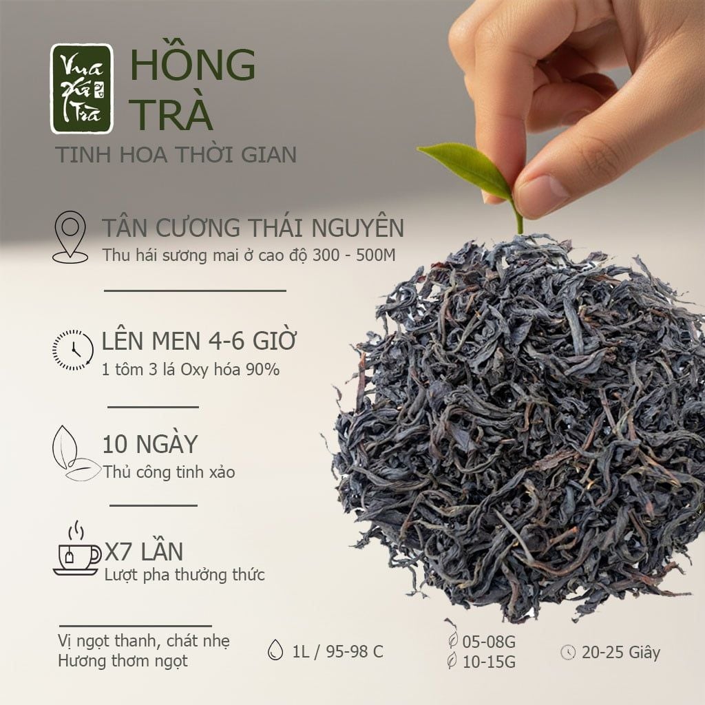 PHÚC AN - Quà tặng tri ân ( Hoàng Ân Trà Đinh + Ô Long Tứ Quý + Hồng Trà Thư Các)