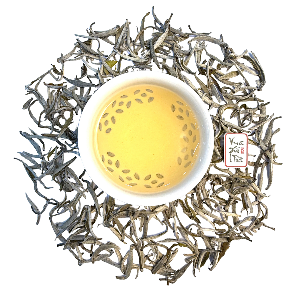 Bạch Trà Shan Tuyết