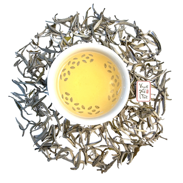 Bạch Trà Shan Tuyết
