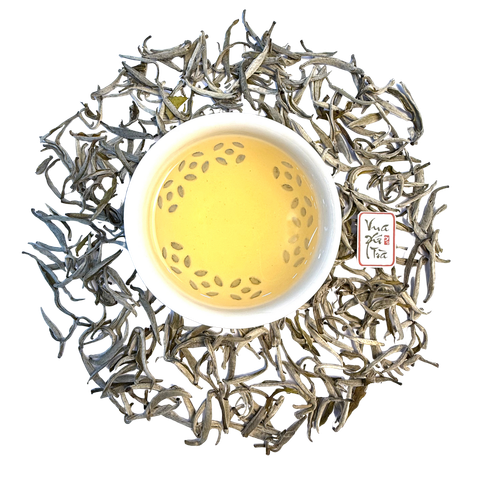 Bạch Trà Shan Tuyết