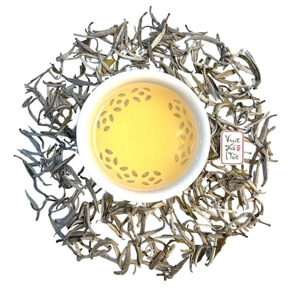 Bạch Trà Shan Tuyết | Hộp Mỹ Thuật Cao Cấp