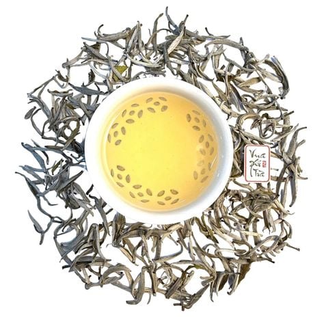 Bạch Trà Shan Tuyết | Hộp Mỹ Thuật Cao Cấp