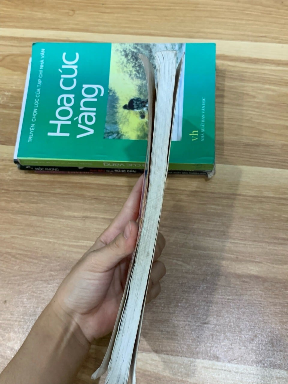 Sáng ngời gương nhân hậu- Minh Giang