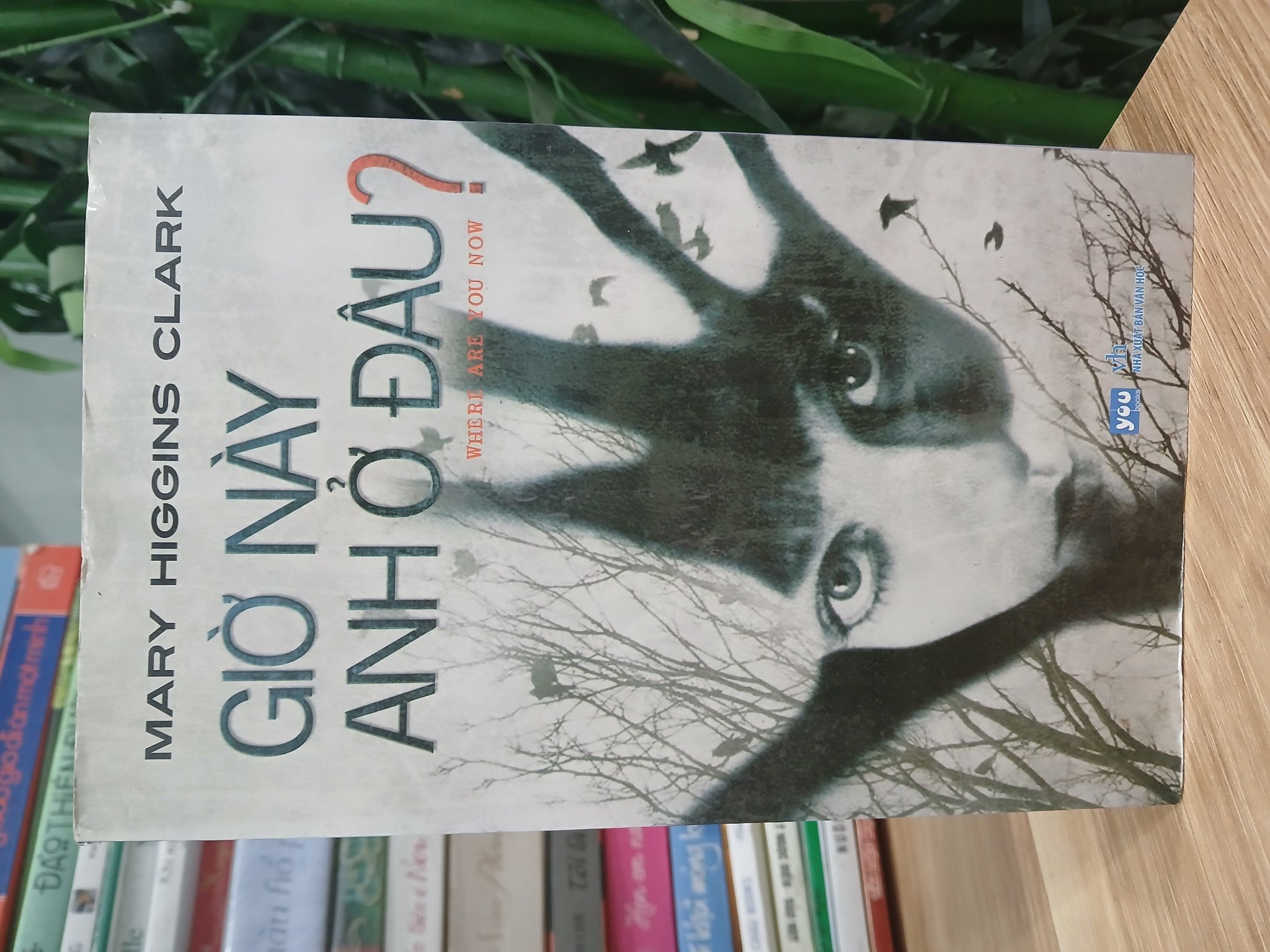 Giờ Này Anh Ở Đâu? Mary Higgins Clark