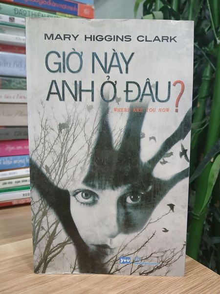 Giờ Này Anh Ở Đâu? Mary Higgins Clark
