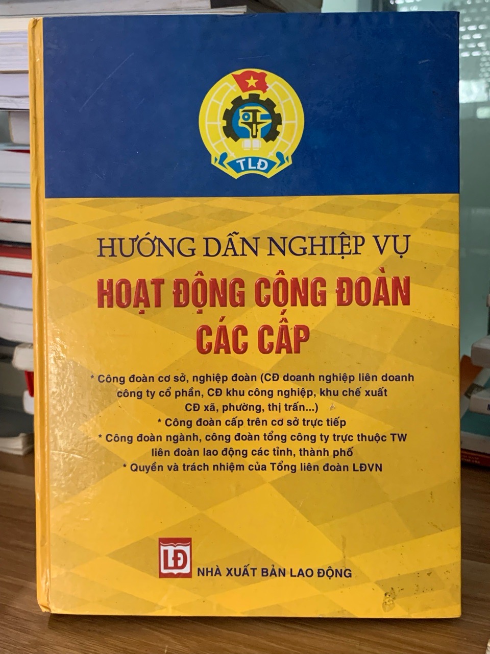 Hướng dẫn nghiệp vụ hoạt động công đoàn các cấp NXB Lao Động