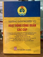 Hướng dẫn nghiệp vụ hoạt động công đoàn các cấp NXB Lao Động - ảnh 1
