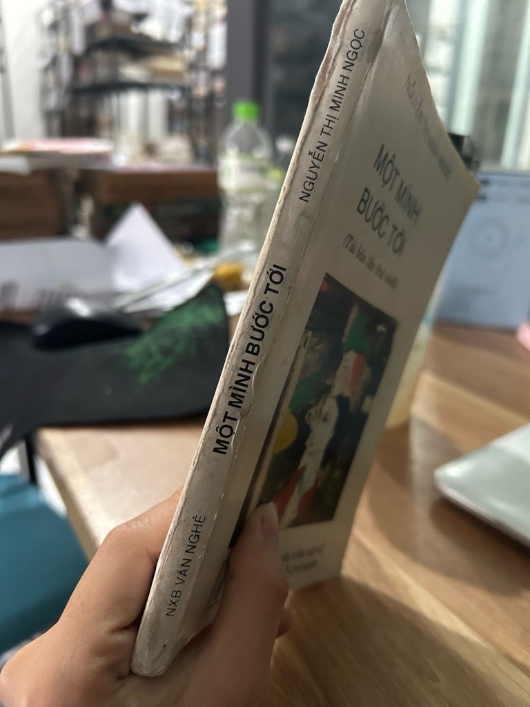 Một mình bước tới -Nguyễn thị minh ngọc - Ảnh chụp thực tế