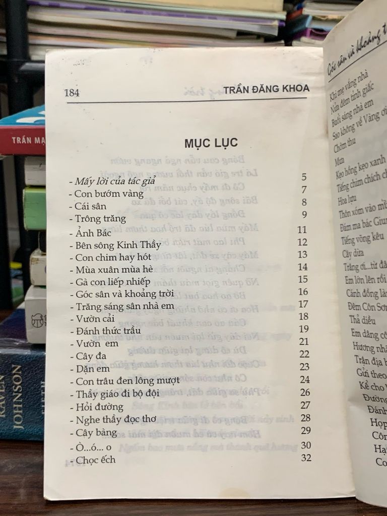 Góc sân và Khoảng trời - Trần Đăng Khoa - Ảnh thực tế 5