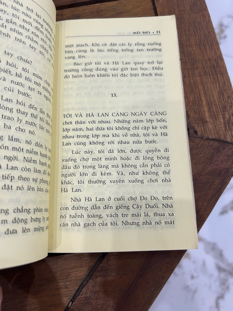 Mắt biếc – Nguyễn Nhật Ánh