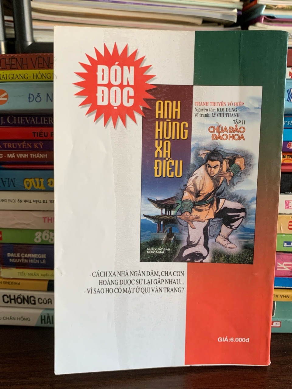 Anh hùng xạ điêu (tập 10 – Người ở ngũ hồ) – Kim Dung