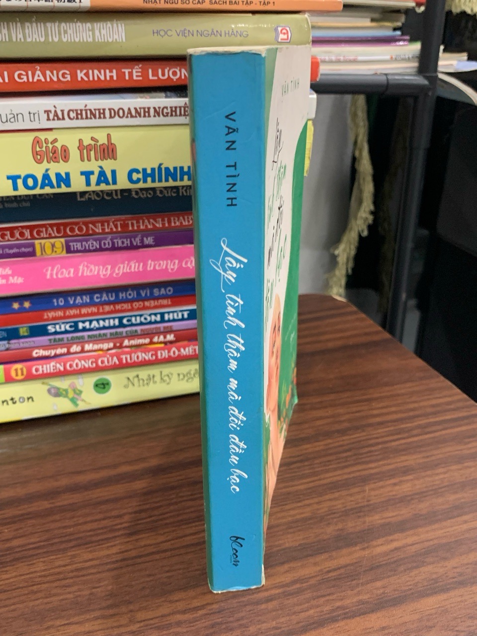 Lấy tình thâm mà đổi đầu bạc- Vãn Tình