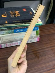 Thời đại Hồ Chí Minh những mốc son rực rỡ – Nhiều tác giả - ảnh 4