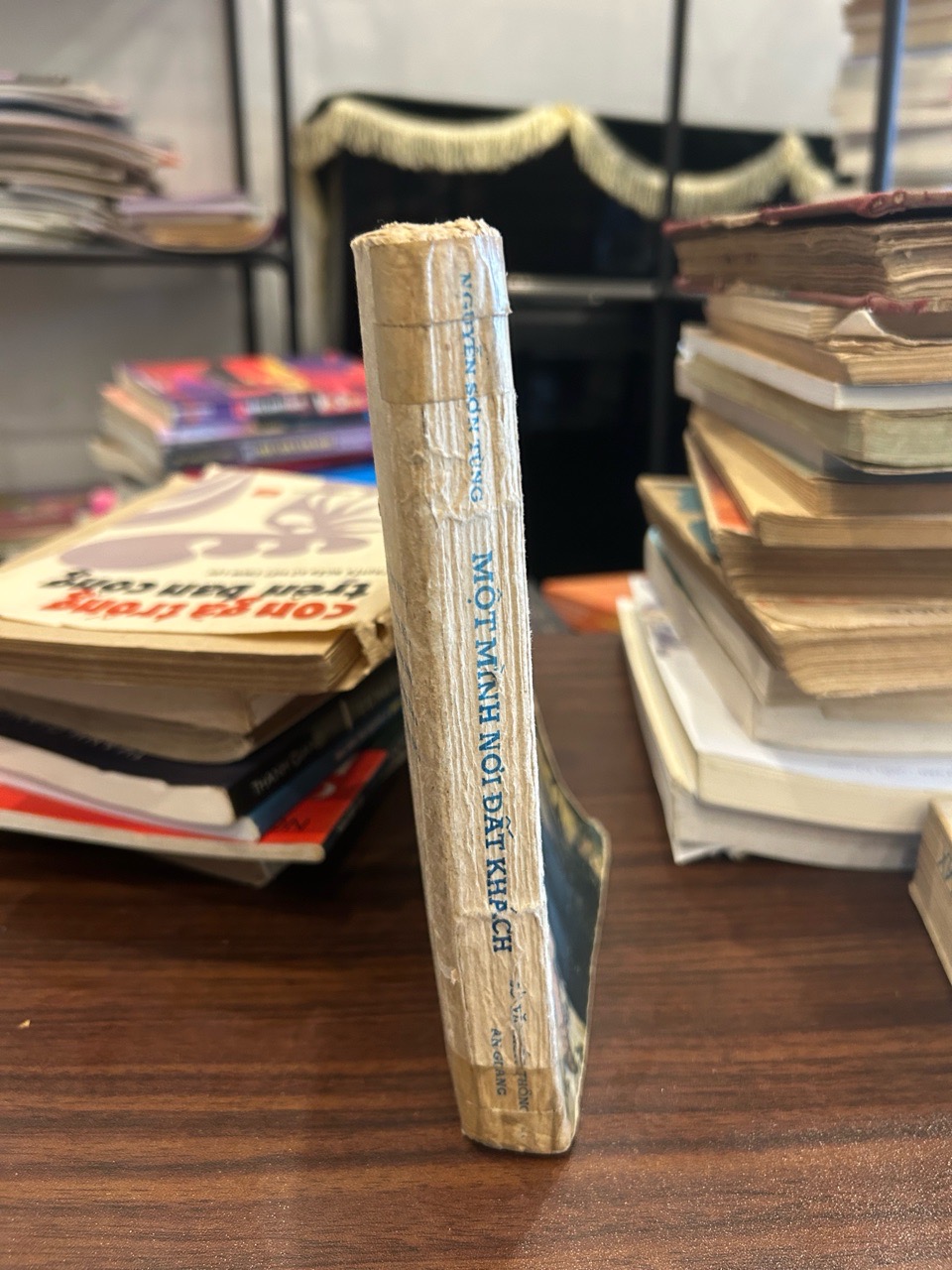 Một mình nơi đất khách- Nguyễn Sơn Tùng