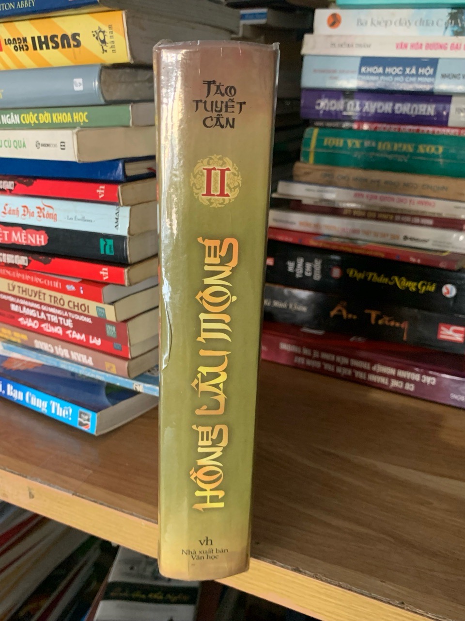 Hồng Lâu Mộng 2 -Tảo Tuyết Cẩn