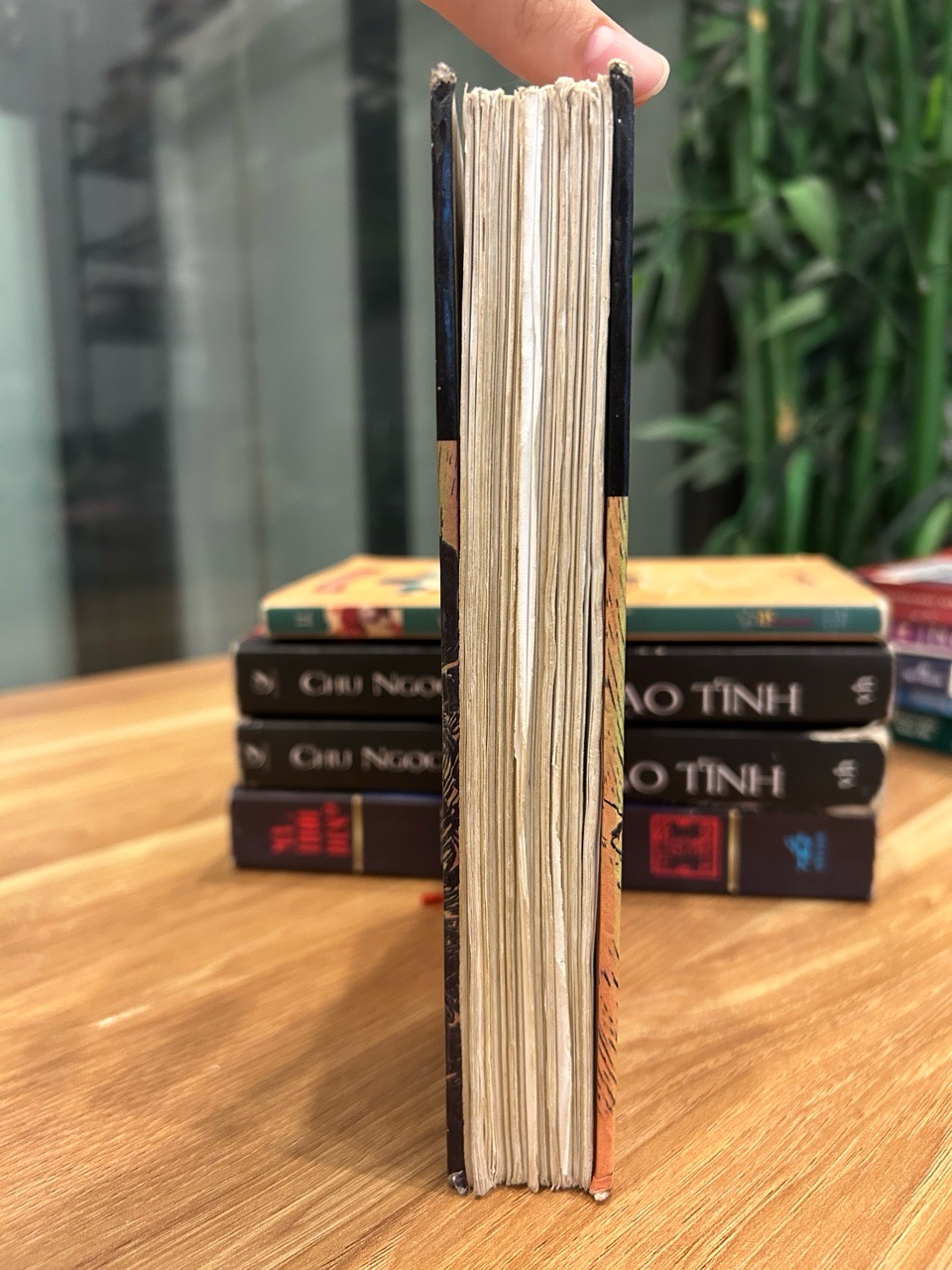 Ruồi Trâu – Ethel Lilian Voynich