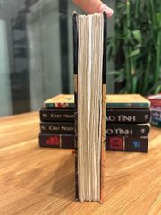 Ruồi Trâu – Ethel Lilian Voynich - ảnh 3
