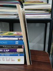 Học viện bóng đá – Bách Lê, Bách Diệp - ảnh 4