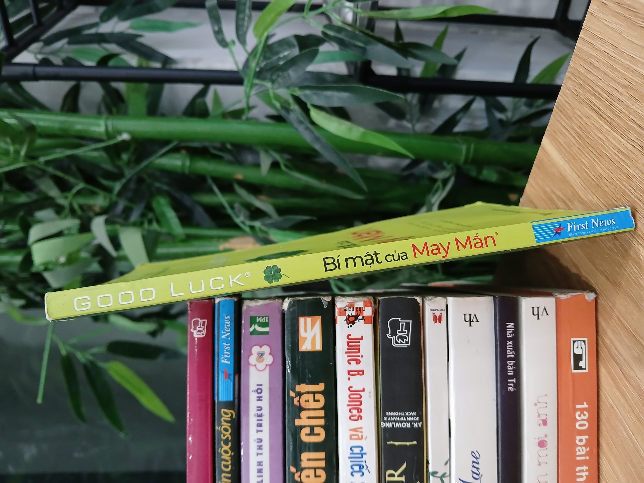 Good Luck – Bí mật của May Mắn – Alex Rovira & Fernando Trías de Bes