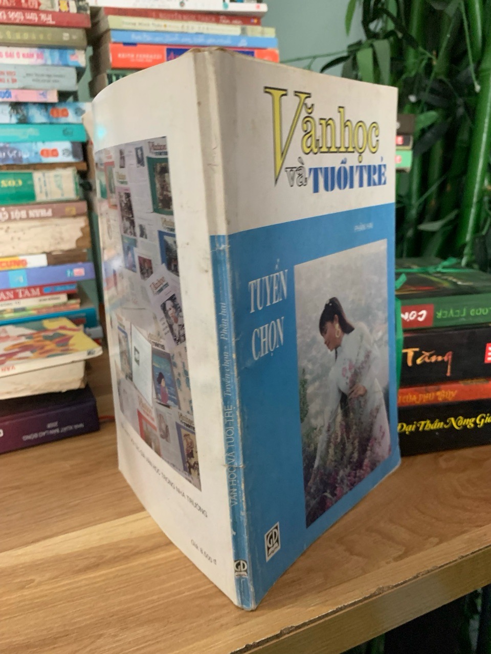 Văn học và tuổi trẻ phần 2