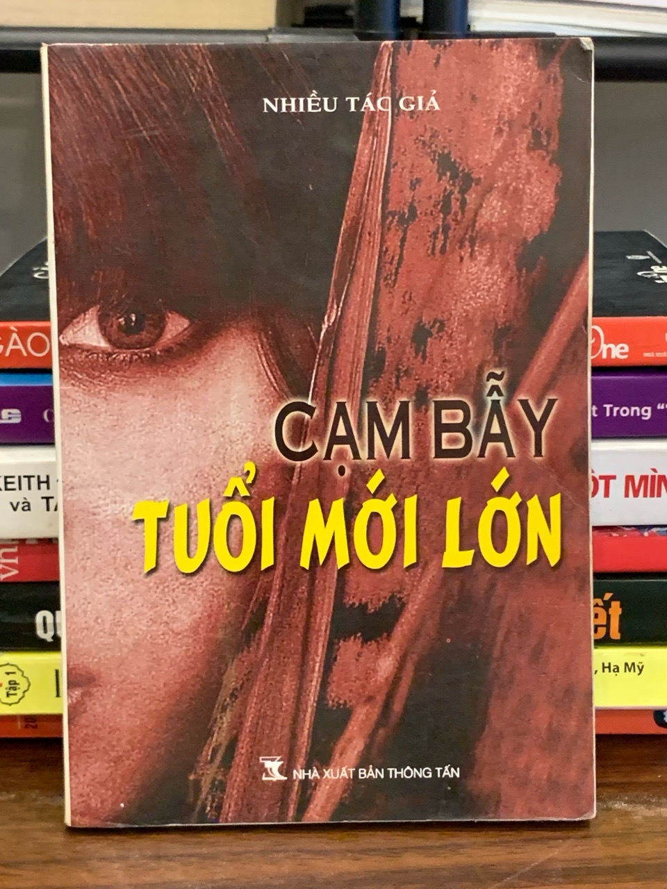 Cạm bẫy tuổi mới lớn – Nhiều tác giả