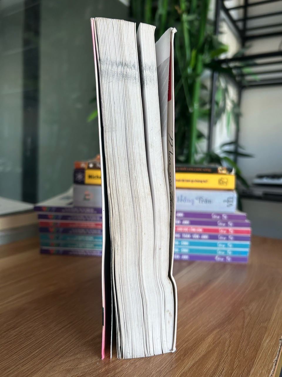 Mùa gió thoảng qua, tôi yêu em - Tinh Không Lam Hề