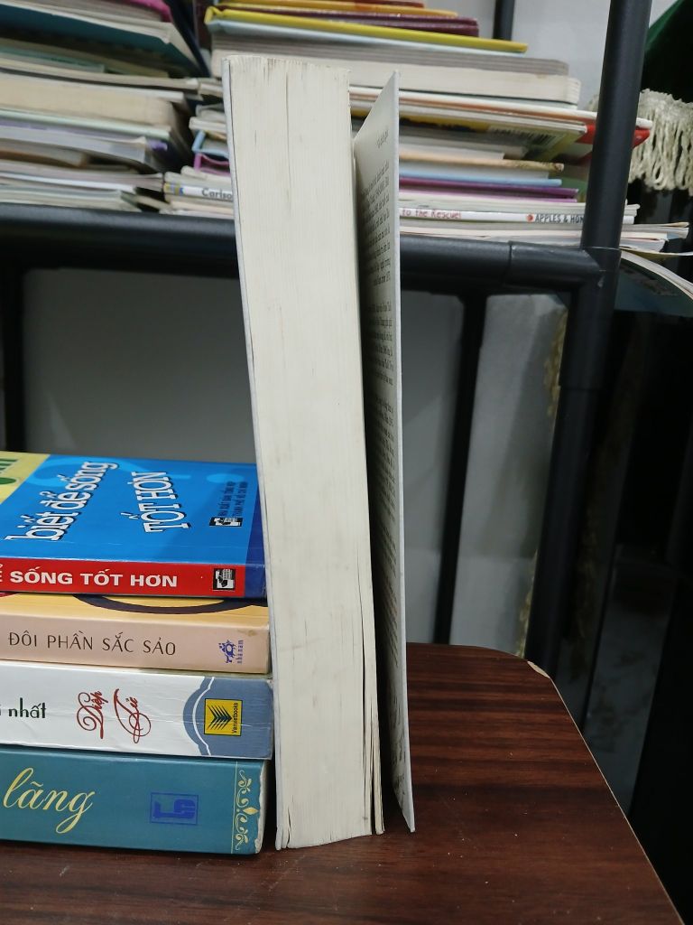 Những con chim ẩn mình chờ chết(The Thorn Birds) – Colleen McCullough - Ảnh thực tế 4