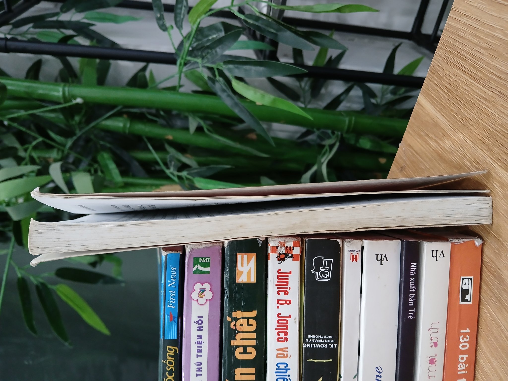 Khi lấy chàng… (Nhật ký của cô dâu trẻ) – Nguyễn Thị Thu Hiền