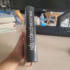 nếu còn có ngày mai Sidney Sheldon - ảnh 3