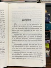 Đạo Phật Pháp Môn và Đạo Phật Nguyên Chất - ảnh 4