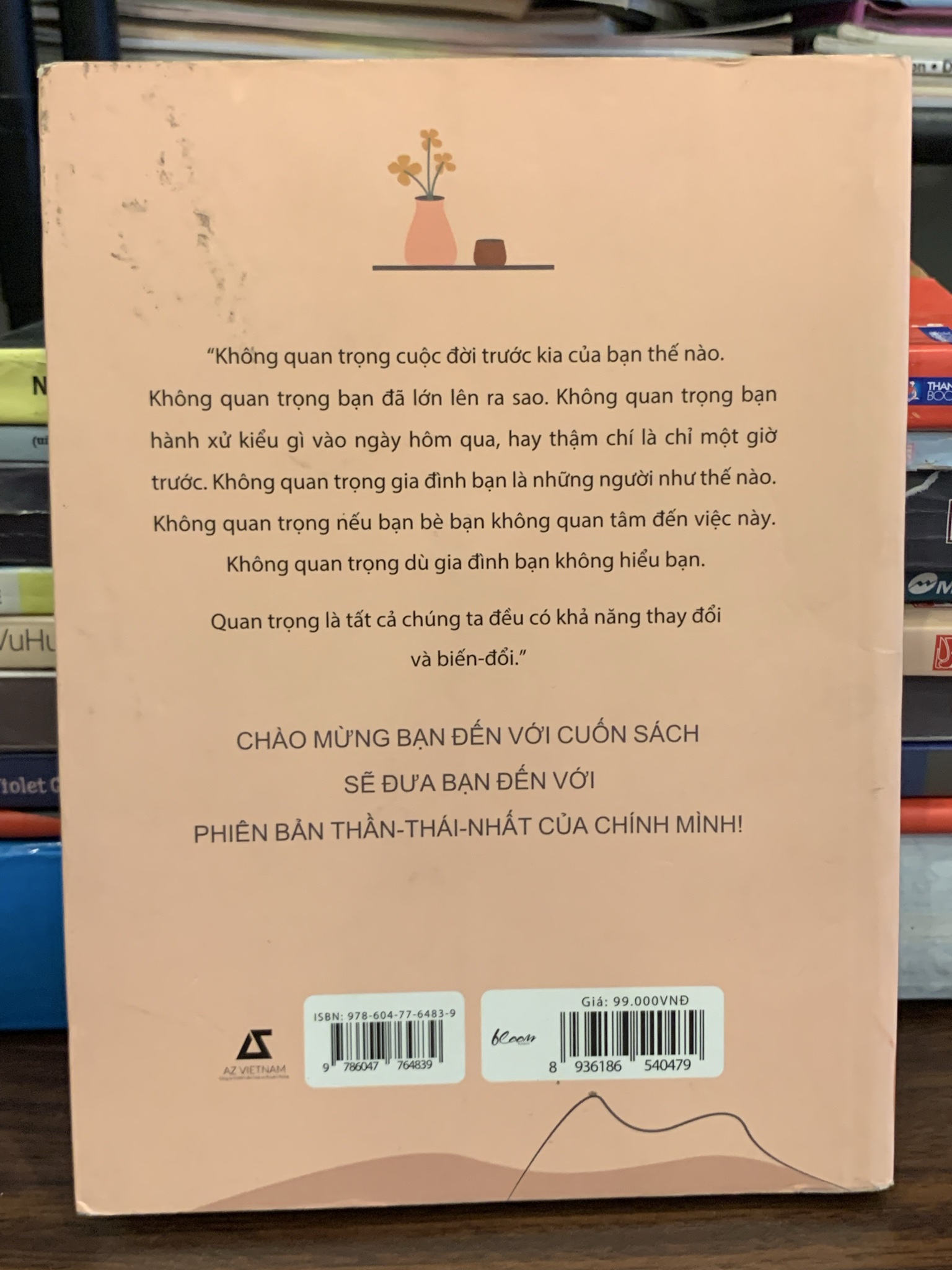 Hình ảnh 2