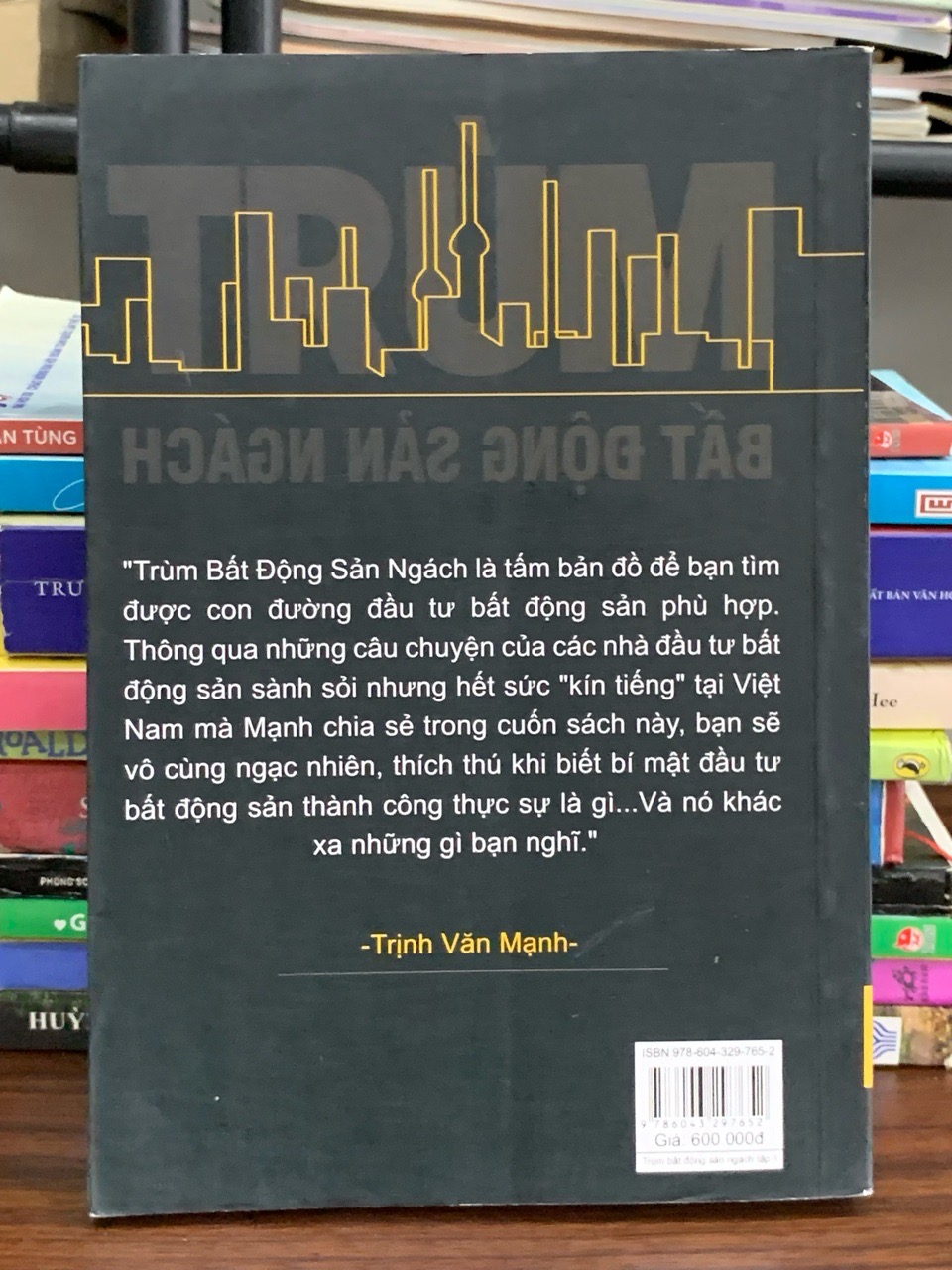 Trùm bất động sản ngách (Tập 1) — Trịnh Văn Mạnh