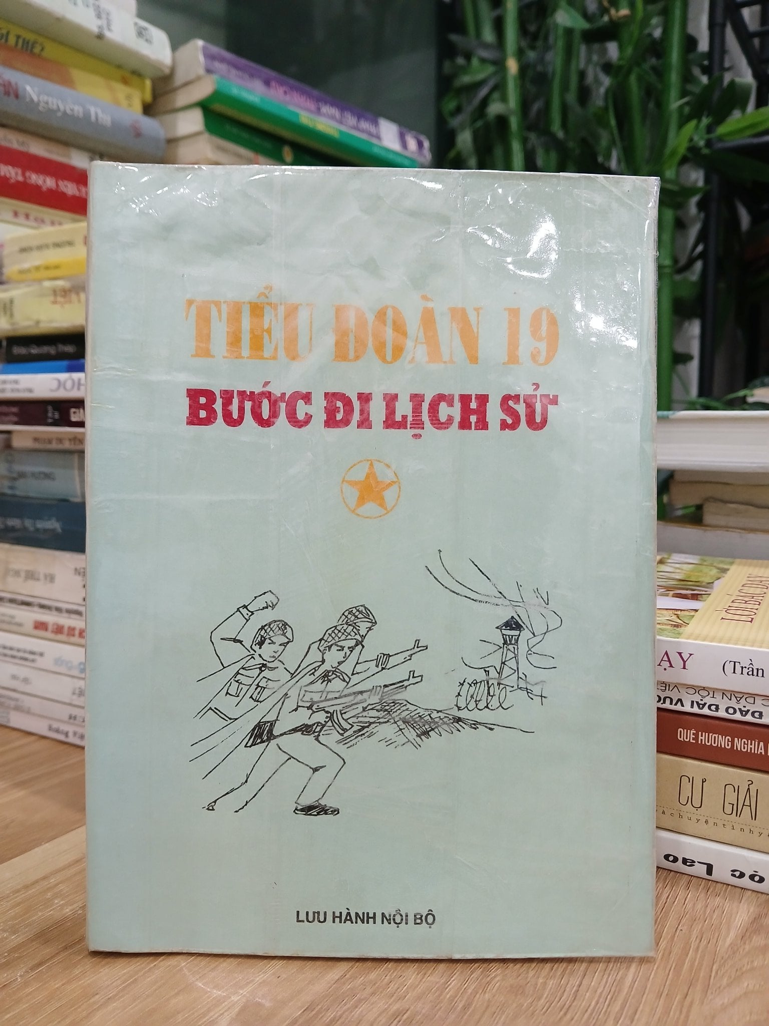 Tiểu đoàn 19 – Bước đi lịch sử – (Nhiều tác giả)