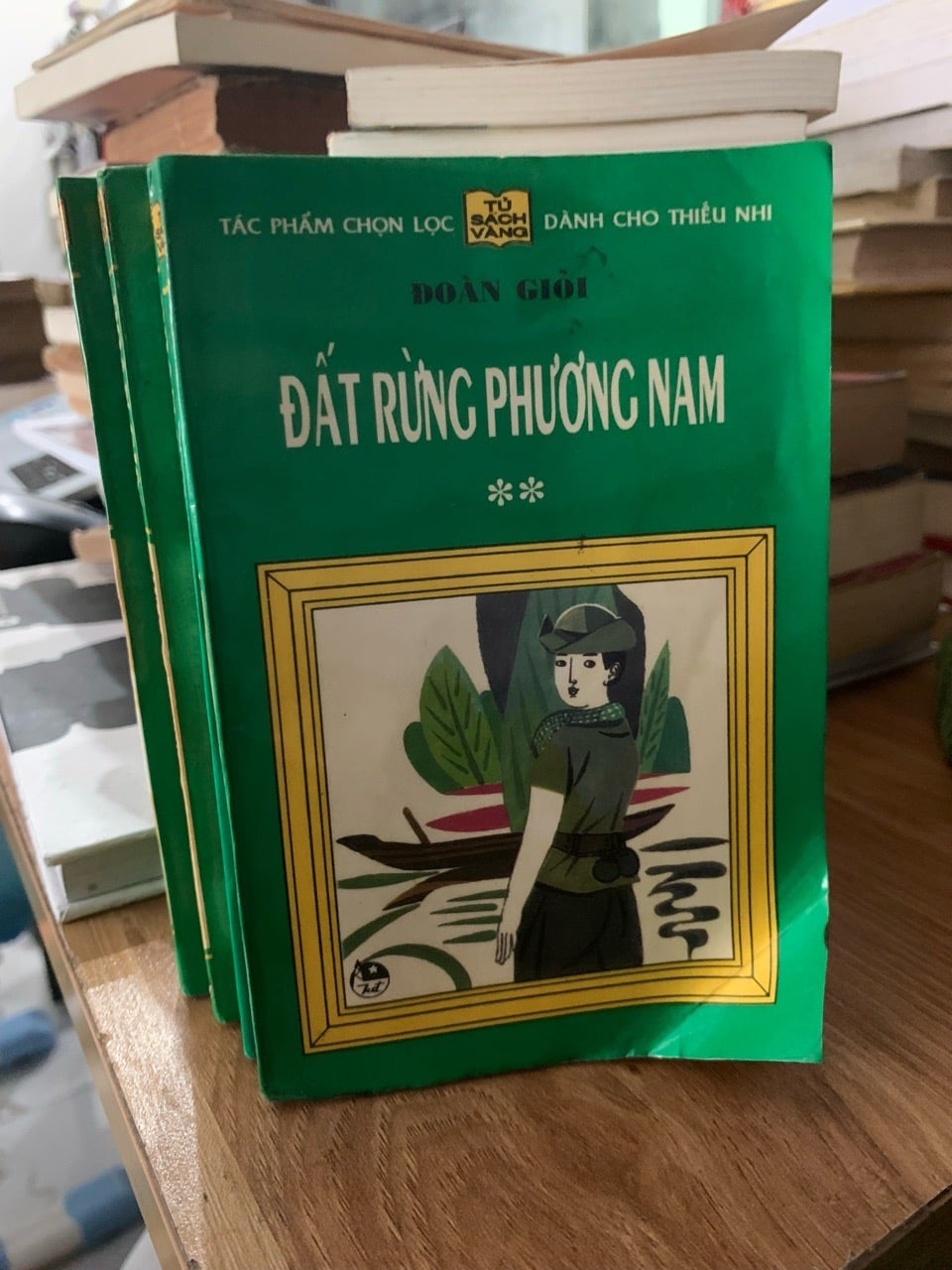 Bộ Sách Đất Rừng Phương Nam (Trọn Bộ 4 Cuốn) của Tác Giả Đoàn Giỏi