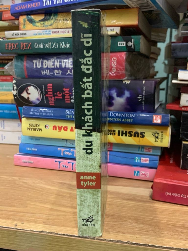 Du khách bất đắc dĩ -Anne tyler - Ảnh thực tế 3