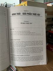 Thực vật dược -TS Trương Thị Đẹp - ảnh 3