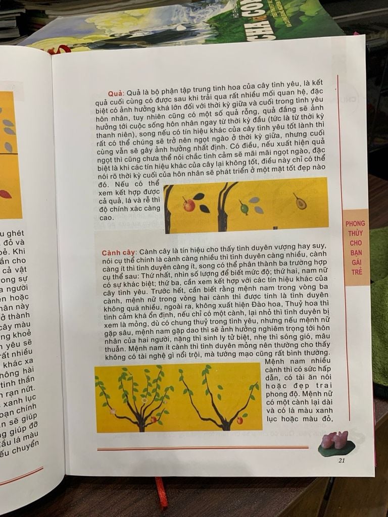 Phong thủy cho bạn gái trẻ tố nữ trạch kinh - Minh Đường - Ảnh thực tế 8