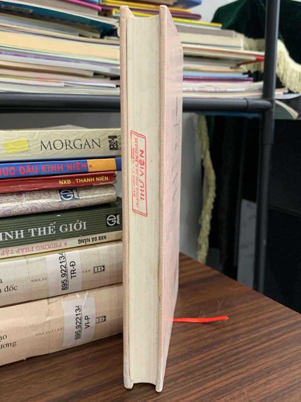 Ngàn dặm và một bước thơ Sông Mê Kông bốn mặt – Anh Ngọc