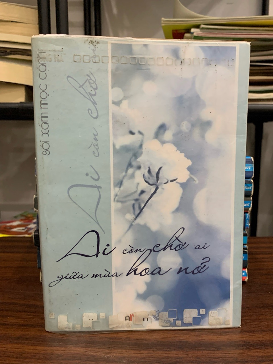 Ai còn chờ ai giữa mùa hoa nở- sói xám mọc cánh