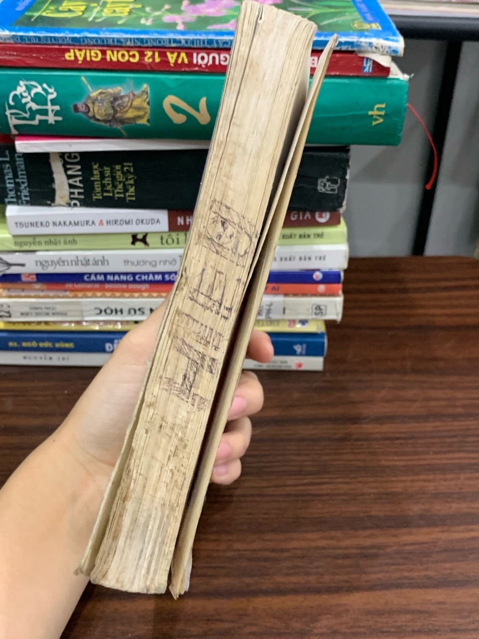 Những cuộc phiêu lưu của Tom Sawyer (The Adventures of Tom Sawyer) — Mark Twain