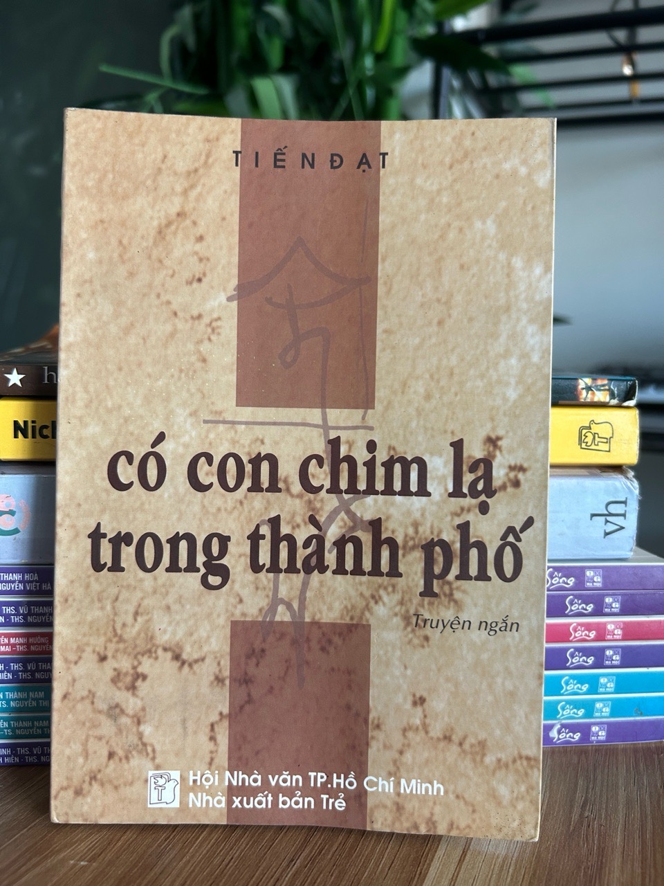 Có con chim lạ trong thành phố - Tiến Đạt